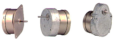 LSD & LSG Series Permanent Magnet Stepping Motors